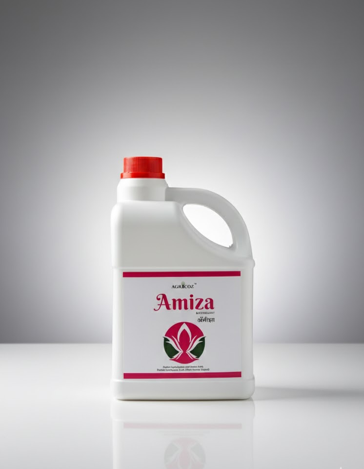 Amiza Product