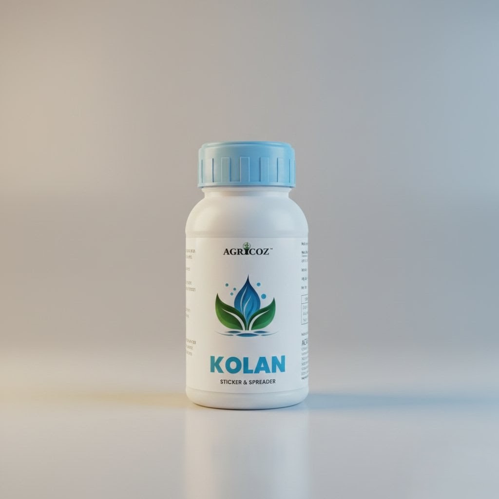 Kolan Product